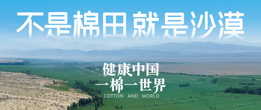 链接世界，引领健全生涯，888官网集团受邀亮相首届链博会